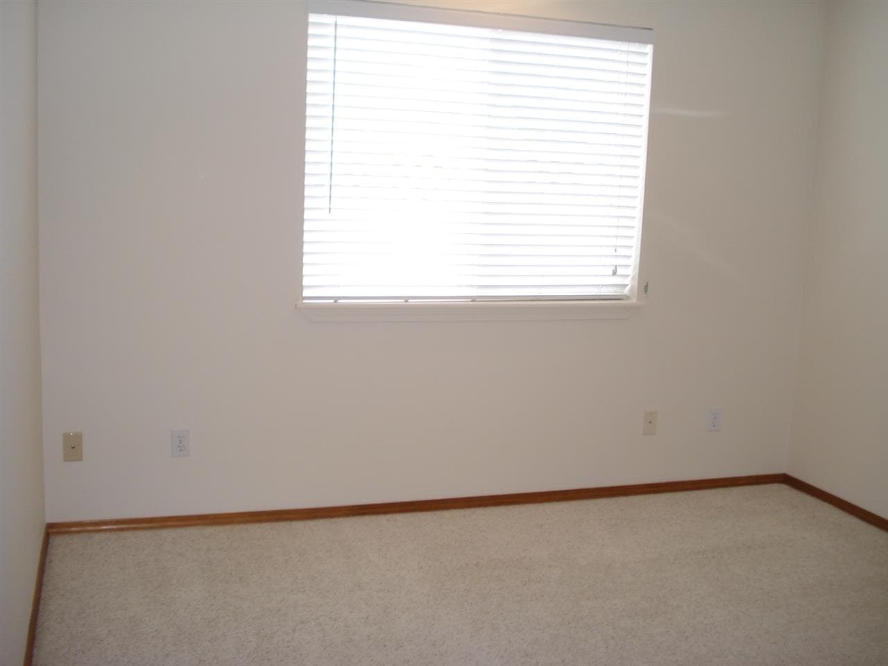 23030 E REMINGTON Ln - Photo 10