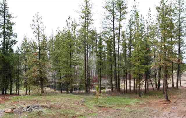 22222  W Baker - Photo 9